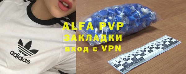 гашик Арсеньев