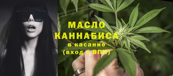 гашик Арсеньев