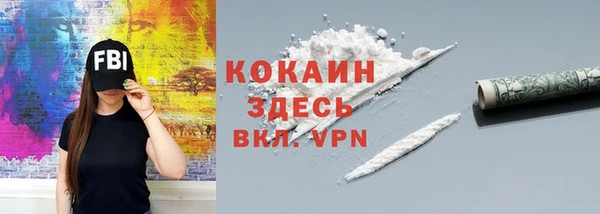 гашик Арсеньев