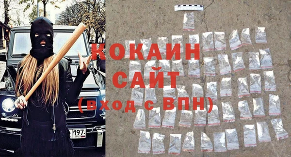 гашик Арсеньев