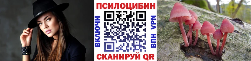 сколько стоит  Усть-Джегута  площадка телеграм  Псилоцибиновые грибы мицелий 